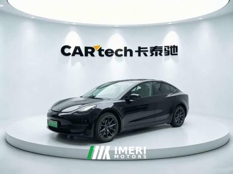 2023 Tesla Model 3 2022 Rear-Wheel Drive - ავტომობილი ჩინეთიდან
