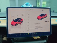 Tesla Model 3 2022 Rear-Wheel Drive - ფოტო 4