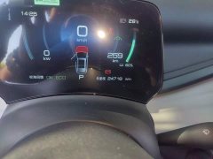 BYD Yuan Plus 2023 Champion Edition 430KM Exceed - ფოტო 13