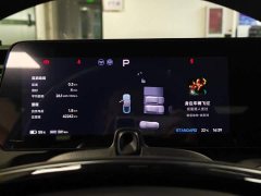 XPeng P7 P7i 702 Pro - ფოტო 13