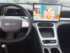 Geely Xing Yuan 310km Dream Edition - ფოტო 11