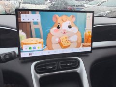 Geely Xing Yuan 310km Dream Edition - ფოტო 12