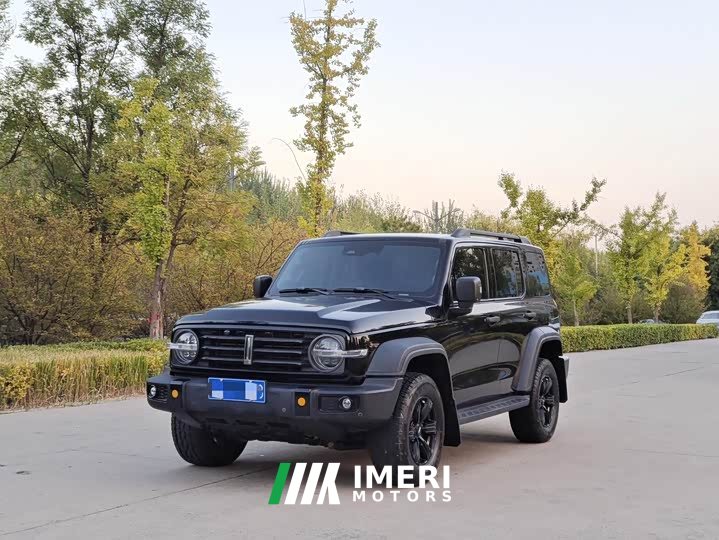 Tank 300 Off-Road Edition 2.0T Conqueror - ავტომობილი ჩინეთიდან