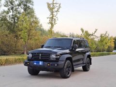 Tank 300 Off-Road Edition 2.0T Conqueror - ფოტო 1