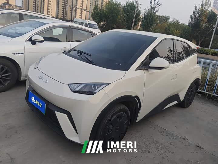 BYD Seagull Vitality Edition - ავტომობილი ჩინეთიდან