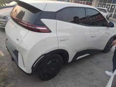 BYD Seagull Vitality Edition - ფოტო 3