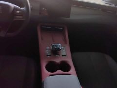 BYD Qin PLUS DM-i Smart Drive Edition 55KM Leading - ფოტო 16
