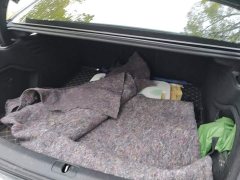 Audi A4L 40 TFSI Fashion Dynamic - ფოტო 4