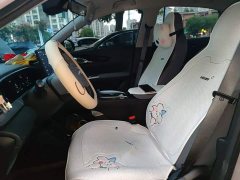 Geely Star Wish 310km Dream Edition - ფოტო 11