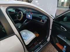 Geely Star Wish 310km Dream Edition - ფოტო 19