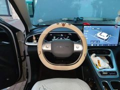 Geely Star Wish 310km Dream Edition - ფოტო 6
