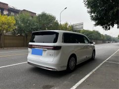 Luxeed Zhiji V9 Max - ფოტო 4