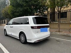 Luxeed Zhiji V9 Max - ფოტო 5