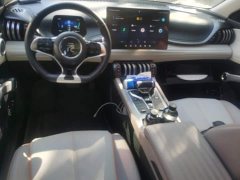 BYD Yuan Plus Glory Edition 510KM Excellence - ფოტო 12