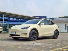 Tesla Model Y 2023 Rear-Wheel Drive - ფოტო 1