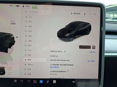 Tesla Model Y 2023 Rear-Wheel Drive - ფოტო 12