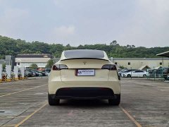 Tesla Model Y 2023 Rear-Wheel Drive - ფოტო 3
