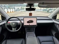 Tesla Model Y 2023 Rear-Wheel Drive - ფოტო 9