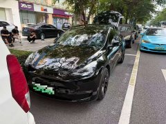 Tesla Model Y Standard Range RWD - ფოტო 1