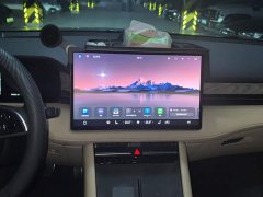AITO Wenjie M7 1.5T RWD Comfort Edition - ფოტო 13