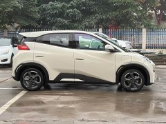 BYD Seagull Freedom Edition - ფოტო 16