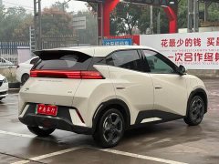 BYD Seagull Freedom Edition - ფოტო 17