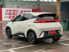 BYD Seagull Freedom Edition - ფოტო 18