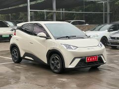 BYD Seagull Freedom Edition - ფოტო 3