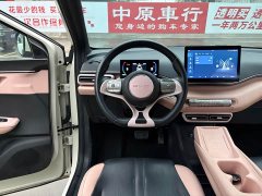 BYD Seagull Freedom Edition - ფოტო 9