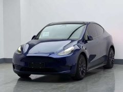 Tesla Model Y Long Range All-Wheel Drive - ფოტო 1