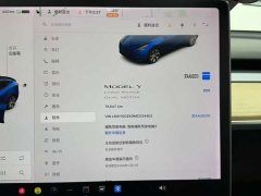 Tesla Model Y Long Range All-Wheel Drive - ფოტო 16