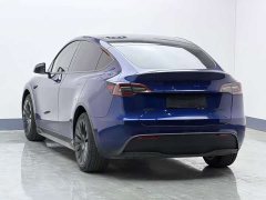 Tesla Model Y Long Range All-Wheel Drive - ფოტო 6
