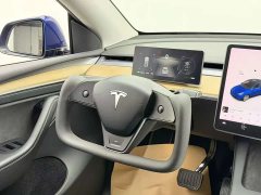 Tesla Model Y Long Range All-Wheel Drive - ფოტო 9