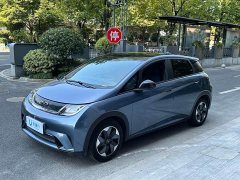 BYD Dolphin Glory Edition 420km Fashion Version - ფოტო 1