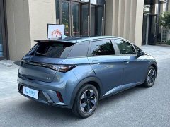 BYD Dolphin Glory Edition 420km Fashion Version - ფოტო 4