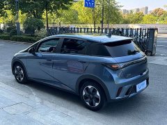 BYD Dolphin Glory Edition 420km Fashion Version - ფოტო 6