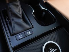Lexus ES 2022 300h Premium Edition - ფოტო 13
