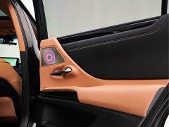 Lexus ES 2022 300h Premium Edition - ფოტო 20