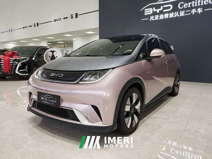 BYD Dolphin 401km Knight Edition - ავტომობილი ჩინეთიდან