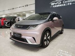 BYD Dolphin 401km Knight Edition - ფოტო 1