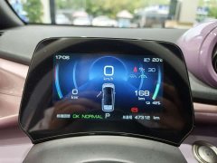 BYD Dolphin 401km Knight Edition - ფოტო 11