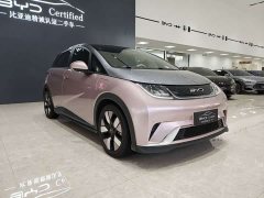 BYD Dolphin 401km Knight Edition - ფოტო 3