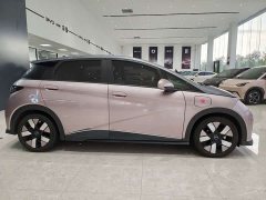 BYD Dolphin 401km Knight Edition - ფოტო 4