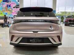 BYD Dolphin 401km Knight Edition - ფოტო 6