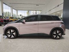 BYD Dolphin 401km Knight Edition - ფოტო 8