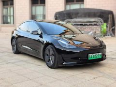 Tesla Model 3 2022 Rear-Wheel Drive - ფოტო 3