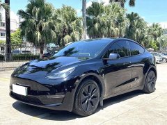 Tesla Model Y 2023 Long Range All-Wheel Drive - ფოტო 1