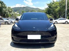 Tesla Model Y 2023 Long Range All-Wheel Drive - ფოტო 2