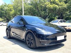 Tesla Model Y 2023 Long Range All-Wheel Drive - ფოტო 3