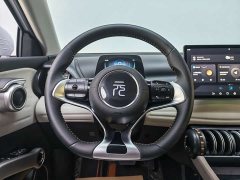 BYD Yuan Plus Glory Edition 430KM Leading - ფოტო 14